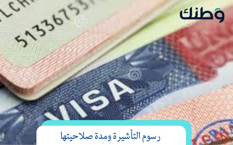 أنواع التأشيرات